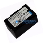 Akku für Panasonic CGR-D16S NV-GS5 MX500 D220 D120 - Ersatz-Akku