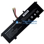 Akku für PDA 4567250-2SP 11Buckles-10Lines - Ersatz-Akku