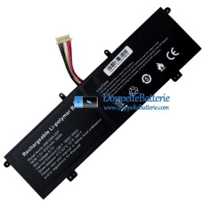 Akku für PDA 4567250-2SP 11Buckles-10Lines - Ersatz-Akku