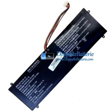 Akku für PDA 4674118-2S 10Buckles-9Lines - Ersatz-Akku